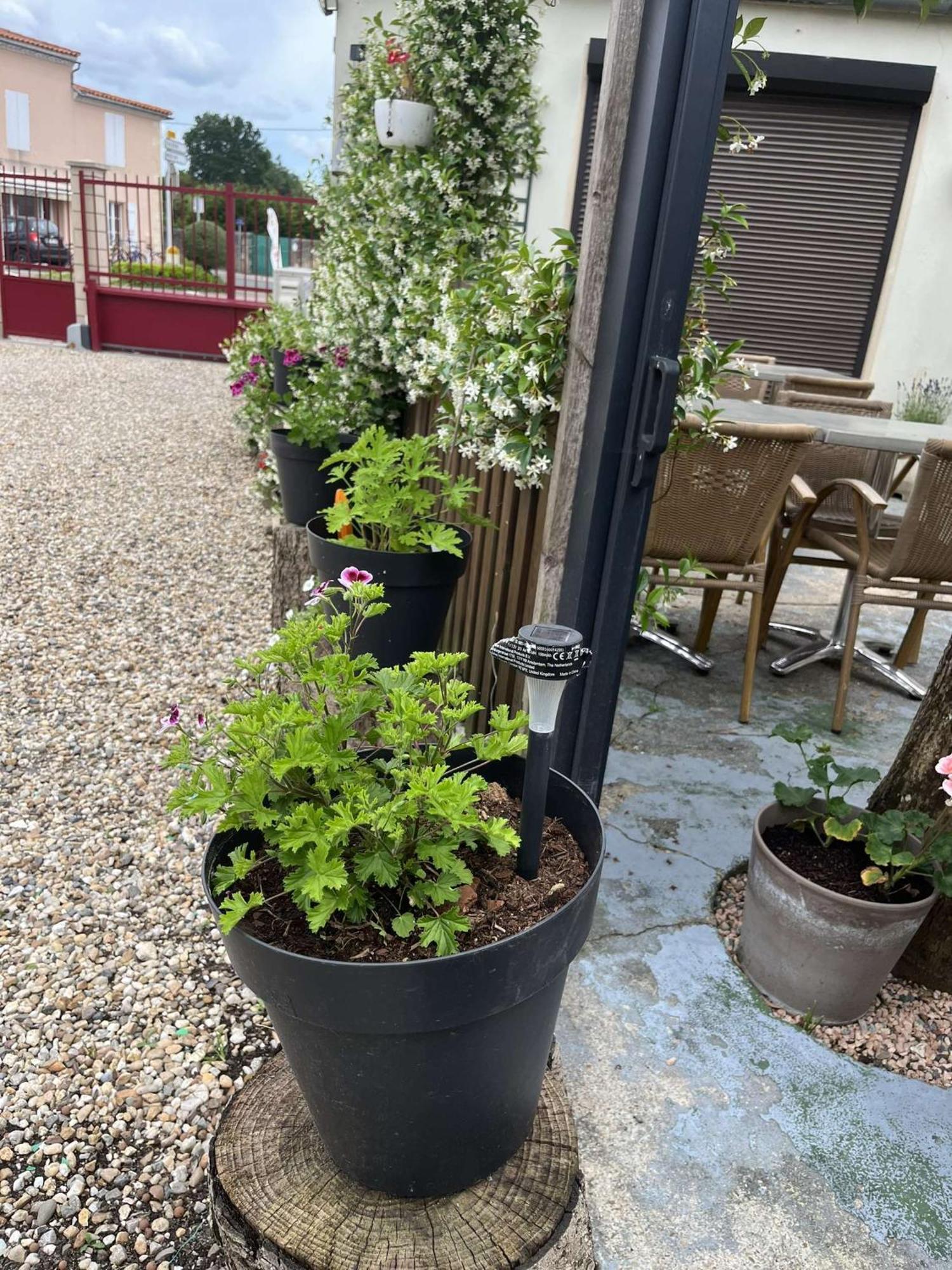 L'Estuaire Bed & Breakfast Saint-Seurin-de-Cursac Luaran gambar